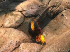 -福州罗源湾海洋世界旅游区