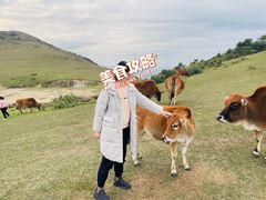 -大姆山草场