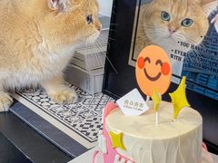 -壹点壹客·生日蛋糕(南山店)