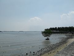 -霞山观海长廊