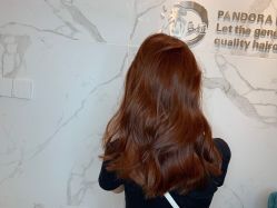 -潘多拉Hairsalon