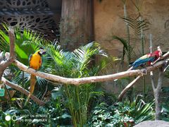 -杭州开元森泊度假乐园