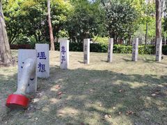 -陈家山荷花公园