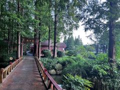 -上海怡沁园度假酒店