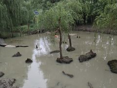 -溱湖国家湿地公园