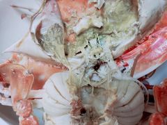 强深水产大飞蟹-鑫福隆生鲜超市(沈营大街店)