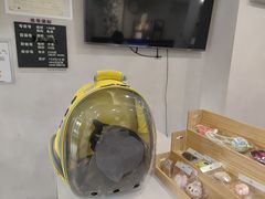 -伟伟宠物医院·CT影像中心·瑞派犬猫综合性门诊(汉口总院)