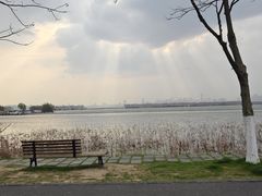 -东湖落雁景区