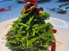 -月芽·自由餐厅·西溪湿地餐厅