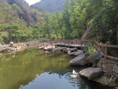 -灵溪风景区