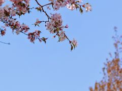 -沈阳植物园