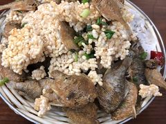 小鱼锅巴-美味之家·湖景农家乐(太湖东山店)