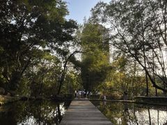 -燕晗山郊野公园