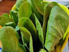 青菜-三里屯土灶炖公鸡地锅鸡(江东店)