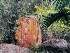 -燕晗山郊野公园