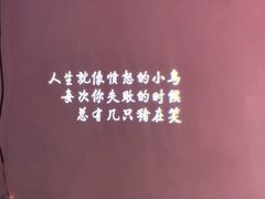 -成都失恋馆