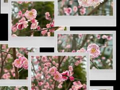 -求雨山文化公园