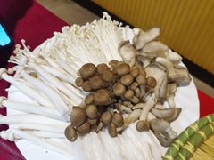 杂菇拼盘-光明清汤羊(宝业路店)