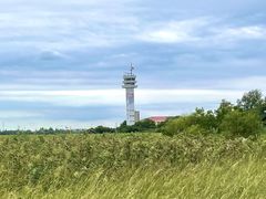 -上海吴淞炮台湾国家湿地公园