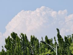 -高嶺咖啡(望京店)