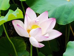 -丝绸小镇荻港古村