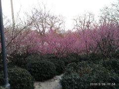 -太子山公园(园东路)