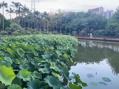 -光明港公园