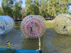 -朝阳公园游乐园