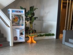 -金香匯晚茶(浑南店)
