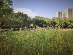 -森林公园(尖草坪区)