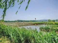 -东郊湿地公园
