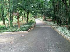 -南宁良凤江国家森林公园