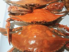 -佳和水饺(海德公馆店)