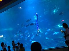 -福州罗源湾海洋世界旅游区