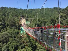 -九龙江国家森林公园