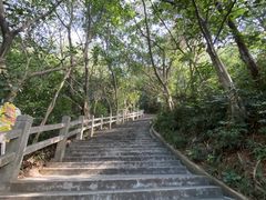 -广州市白云山风景名胜区