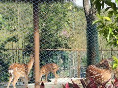 -佛冈森波拉度假区