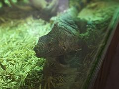 -海合安武汉极地海洋公园