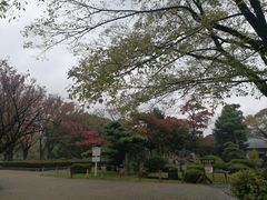 -名古屋城