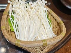 -菌子鲜汤野生菌锅