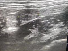 -佳怡动物医院·平价24小时·猫专科骨外科