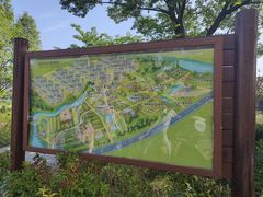 -田园东方蜜桃村的田野营地