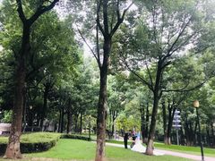 -重庆市江北嘴中央商务区中央公园