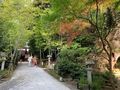 -来宫神社