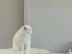 -怪兽屋·羊驼·猫咖·狗咖(俊华广场店)