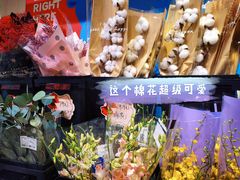 -盒马X会员店(王府井奥莱UP TOWN店)