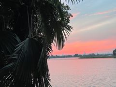 -东湖落雁景区