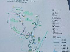 -三门江国家森林公园