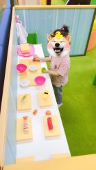 -莫莉幻想儿童乐园(郑州丹尼斯三天地店)