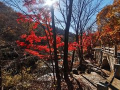 -三块石国家森林公园